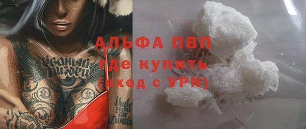 амф Гусь-Хрустальный