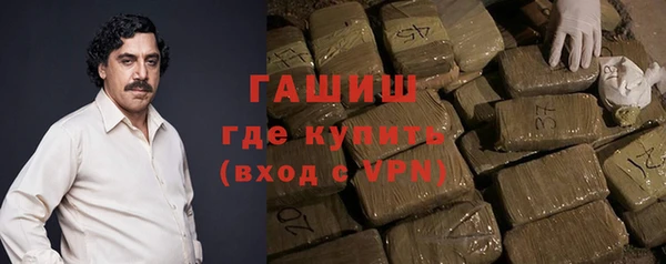 гидра Гусев