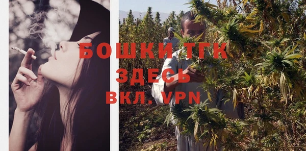 гидра Гусев
