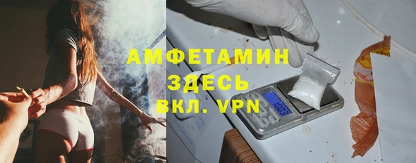 гидра Гусев