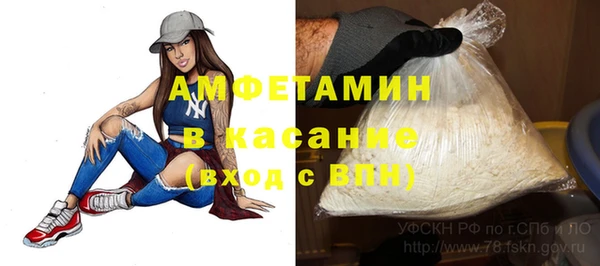 амф Гусь-Хрустальный