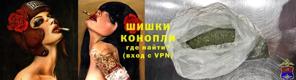 амф Гусь-Хрустальный