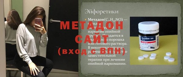 амф Гусь-Хрустальный