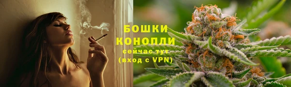 амф Гусь-Хрустальный