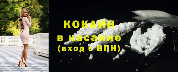 амф Гусь-Хрустальный