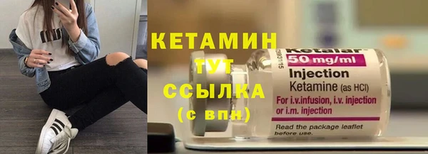гидра Гусев