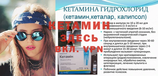 амф Гусь-Хрустальный