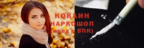 молекула духа Елизово