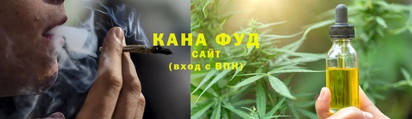 гидра Гусев