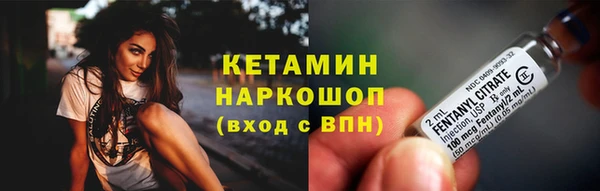 гидра Гусев