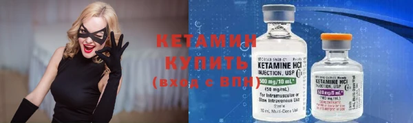 амф Гусь-Хрустальный