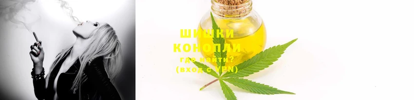 амф Гусь-Хрустальный