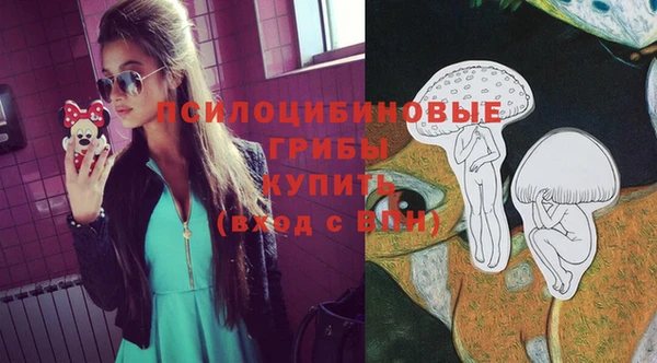 гидра Гусев