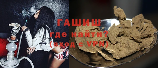 гидра Гусев