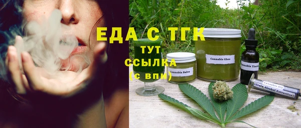 амф Гусь-Хрустальный