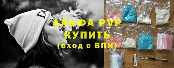 амф Гусь-Хрустальный